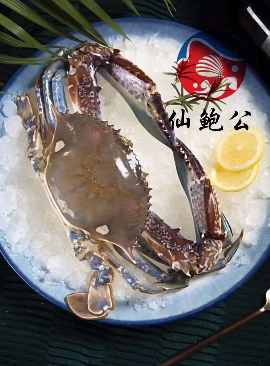 西非青蟹