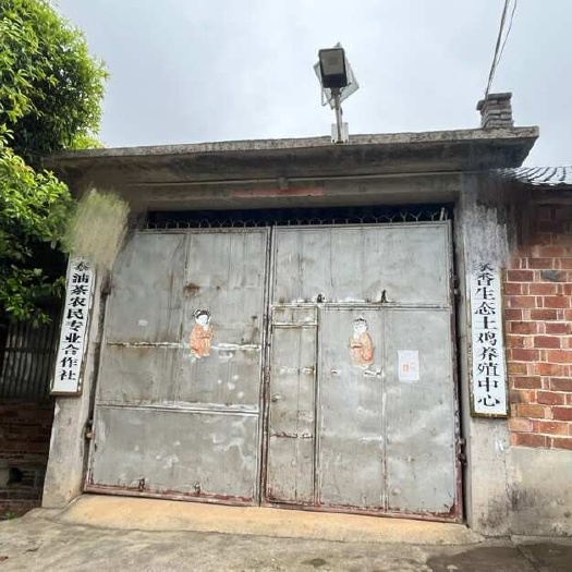 茶油基地转让 杨梅基地