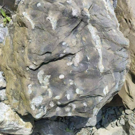 石头，需要园林绿化的联系