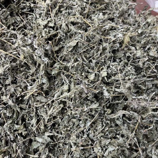 藤茶，莓茶，去藤只有叶子的