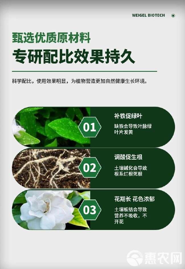 硫酸亚铁花肥料喜酸性植物专用肥果树黄化病黄叶变绿叶调酸土壤