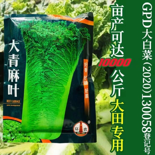 宿迁大青麻叶白菜种子口口香青麻叶白菜种子津川60大青麻叶白菜种籽