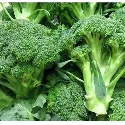 绿娃娃西兰花种子青花菜白花椰菜耐寒大棚盆栽四季播农家蔬菜种籽