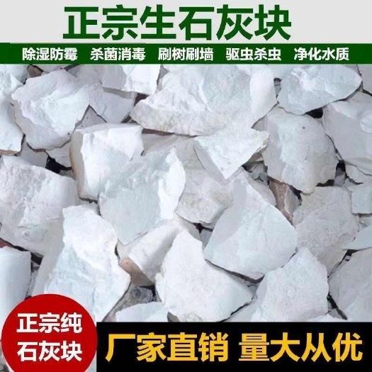安远县生石灰块家用室内房间衣柜吸湿盒除湿袋白灰刷树防潮粉除霉干燥剂