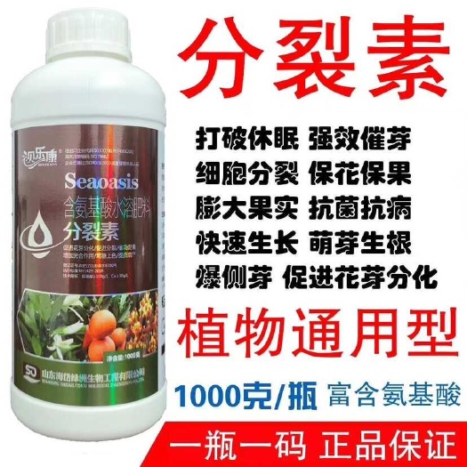 分裂素 爆芽素 花芽侧芽分化 催芽素打破休眠