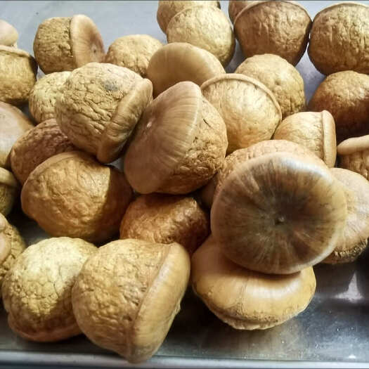 玉林广西野生风流果正品药材泡酒食材一件代发包邮