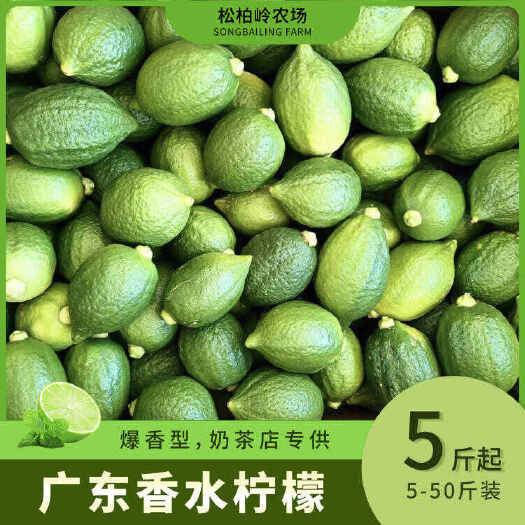 湛江（全国包邮）广东无籽香水柠檬一级果爆香型柠檬茶店专用