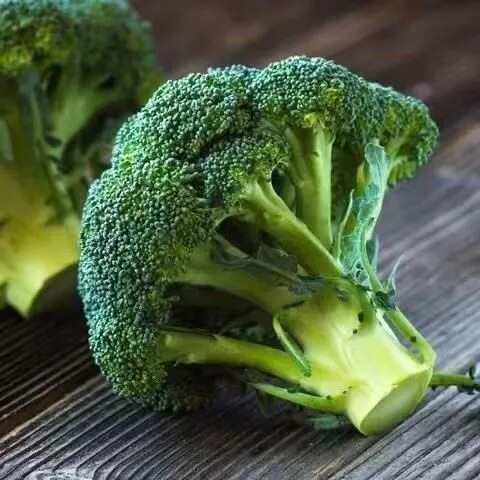 绿娃娃西兰花种子青花菜白花椰菜耐寒大棚盆栽四季播农家蔬菜种籽