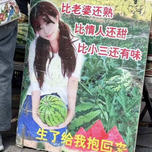长沙台农自产自销精品美都无籽西瓜