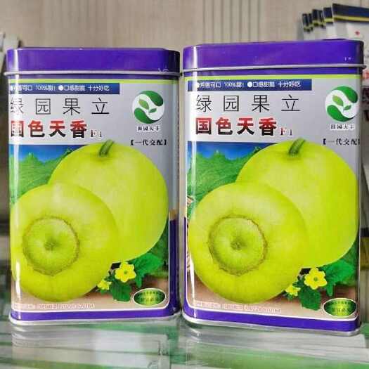 漯河国色天香甜瓜种子，早熟，高糖18度，绿黄皮，耐湿耐热，抗病