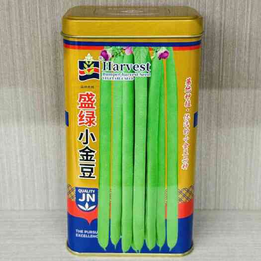 南京盛夏小金豆豆角种子耐寒耐热早熟豆角种大田基地种植抗病豆角种子