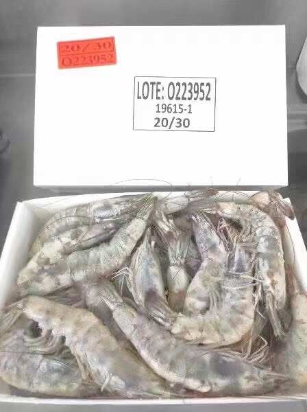 郑州虾尾全规格，虾大日期处理。