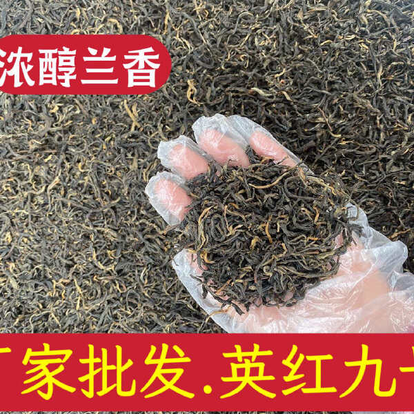 英红九号红茶 英九 英红 英德特产 英德红茶 红茶批发价散装