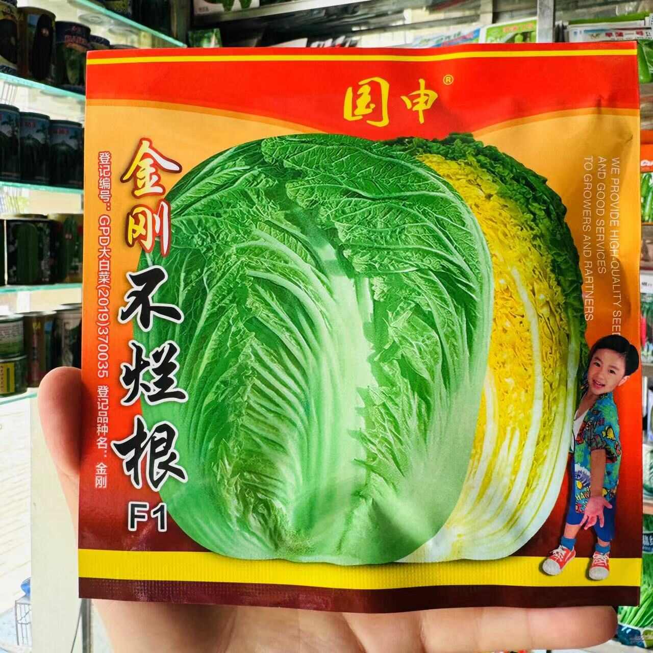 改良青杂三号大白菜种子 青岛87-114大白菜种子秋播白菜籽