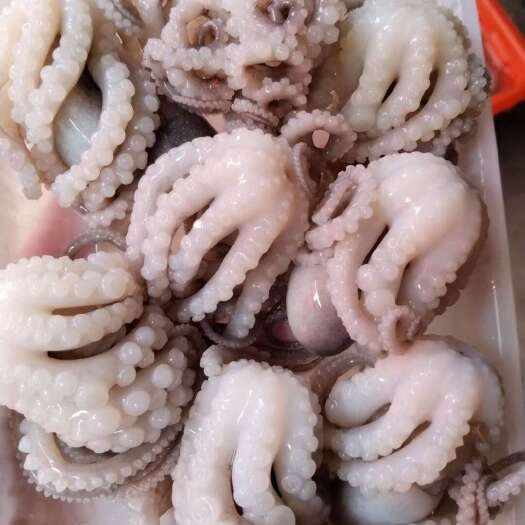 福安市研磨小白章