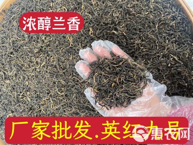 英红九号红茶 英九 英红 英德特产 英德红茶 红茶批发价散装