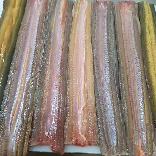 黄鳝加工产品
