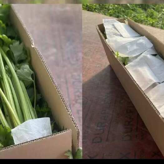 西芹