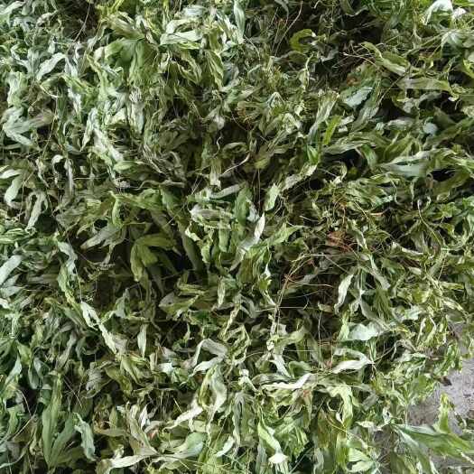武平县金鸡脚，长期收，有的联系
