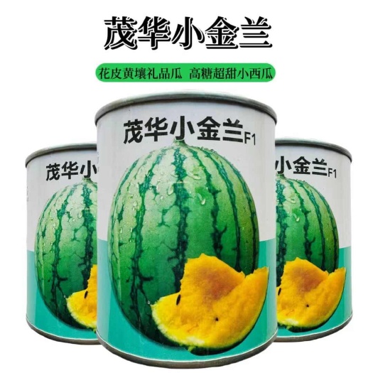 宿迁中科茂华早熟茂华小金兰黄瓤西瓜种子  肉质沙脆爽口