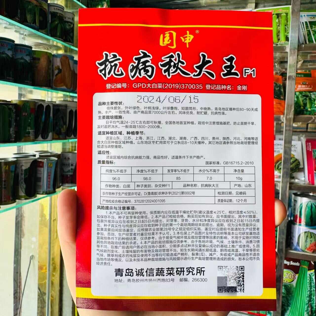改良青杂三号大白菜种子 青岛87-114大白菜种子秋播白菜籽