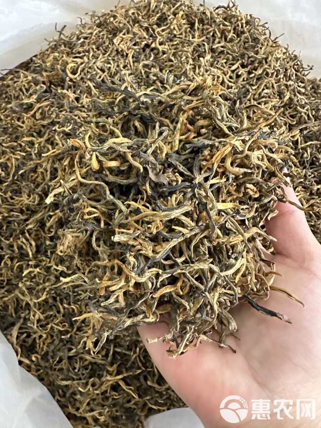 英红九号红茶 批发价 英红 英德红茶 红茶 散装 英德特产