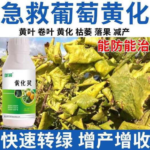 栾川县葡萄专用药葡萄黄化病黄叶落叶卷叶一喷灵补充营养快速转绿叶面肥