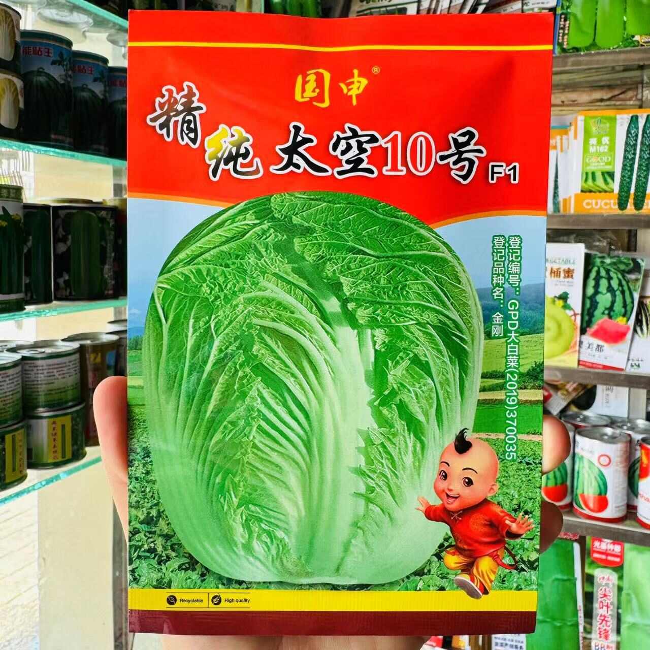 改良青杂三号大白菜种子 青岛87-114大白菜种子秋播白菜籽
