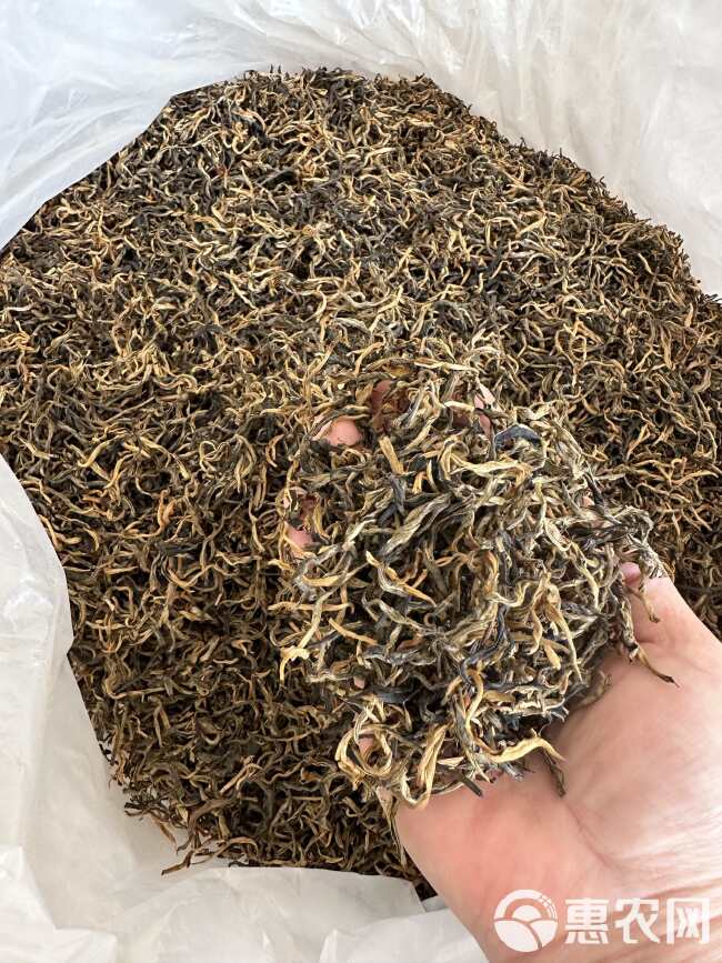 英红九号红茶 批发价 英红 英德红茶 红茶 散装 英德特产