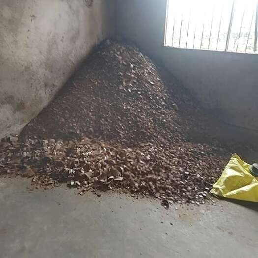  菜枯