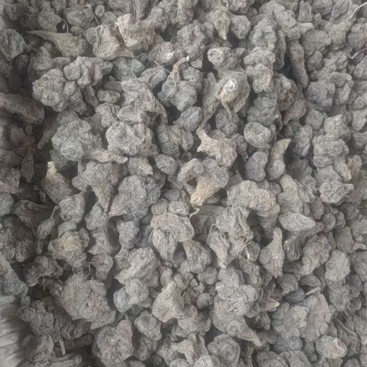 廊坊洋姜个子，洋姜片，洋姜粉