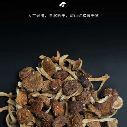 新丰县赤松茸