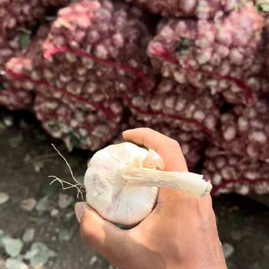 本店铺经营，通货，大混级，有需要的老板可以联系，可以代收，