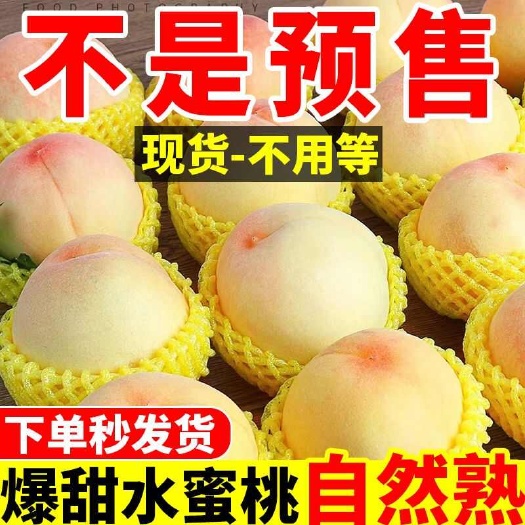 龙南市【现摘速发】甜水蜜桃软桃毛桃子脆桃新鲜当季水果整箱批发