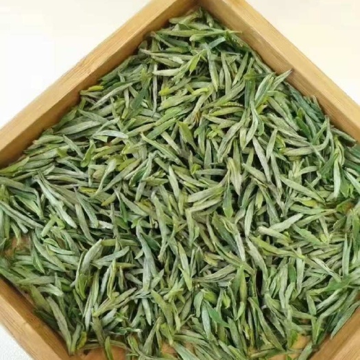 黄山毛峰茶