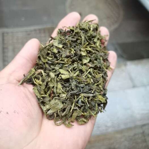 湄潭县高山绿茶【粗茶】普通绿茶新茶绿茶茶叶袋装浓香黄壳饭店工地用