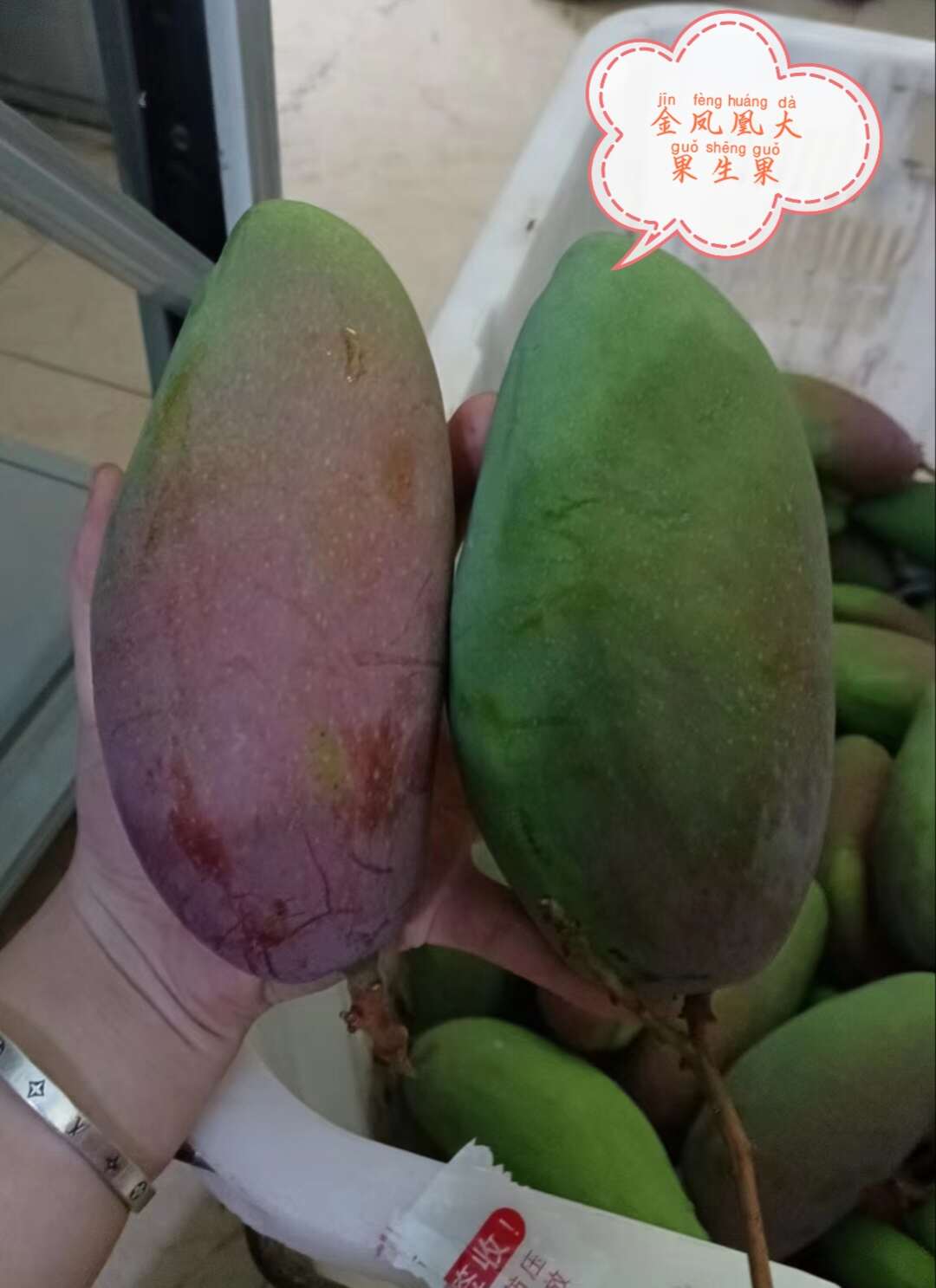 大金凤凰芒果