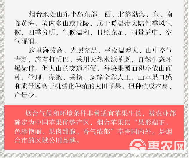 山东烟台栖霞红富士条纹红平苹果脆甜新鲜水果批发一整箱礼盒