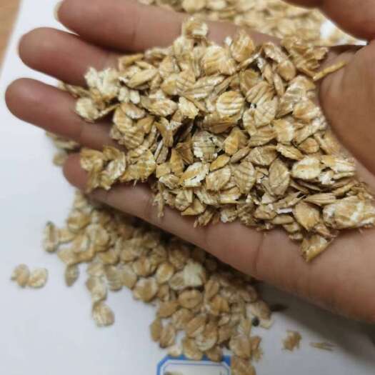 石家庄大麦压片大麦压片