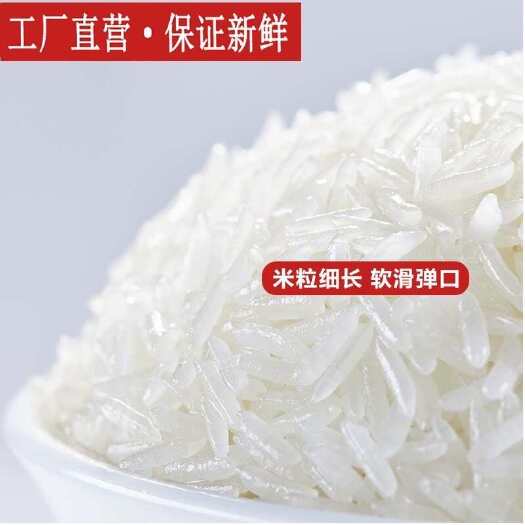 长沙大米