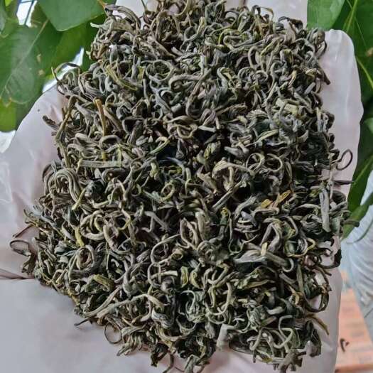  绿茶