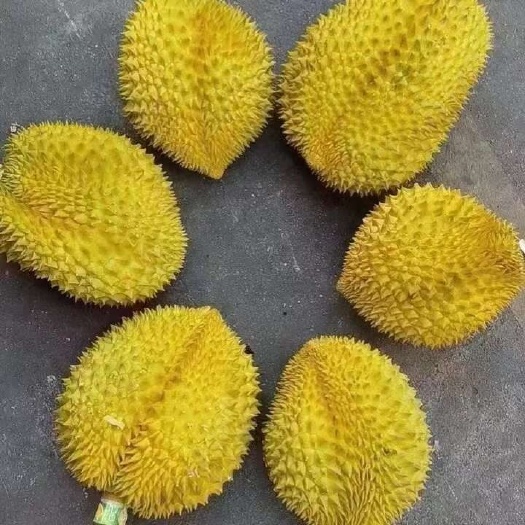 泰国精品A6金枕榴莲