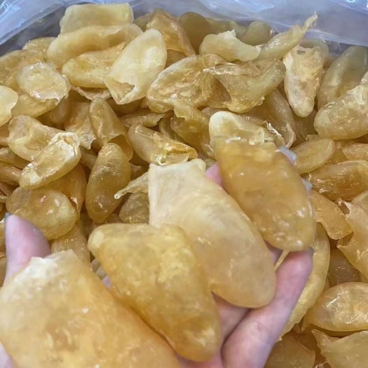 广州鳘鱼胶