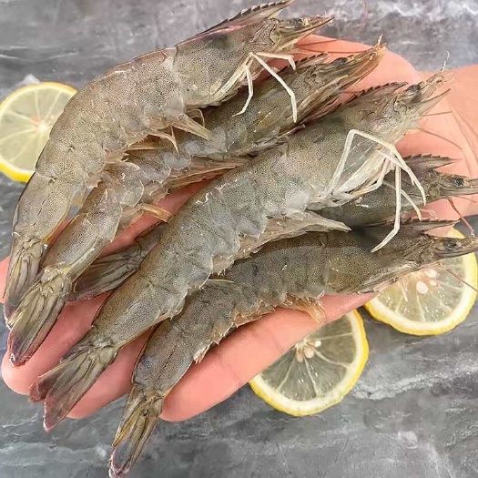 南美白对虾