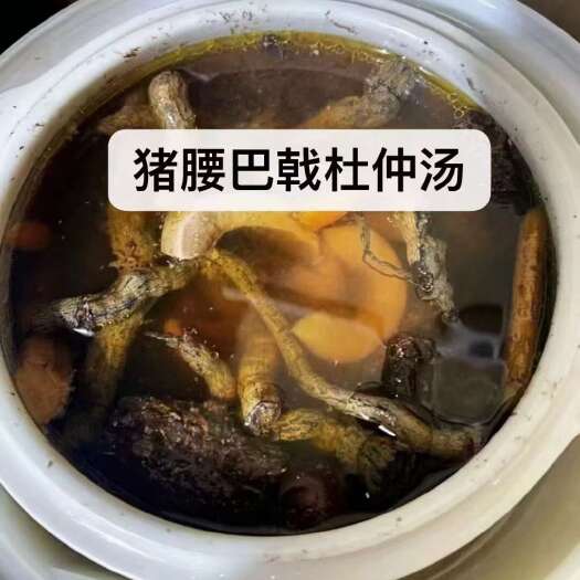 博罗县九蒸九晒巴戟肉批发