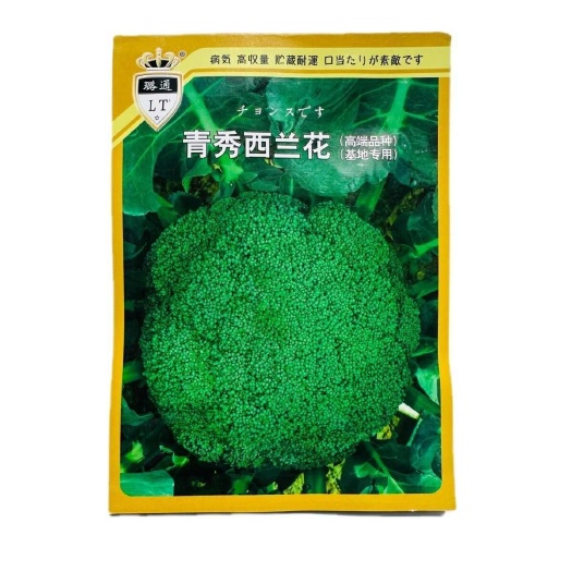 璐通青秀西蓝花种子高品质杂交西兰花种籽新品种春秋两季基地专用