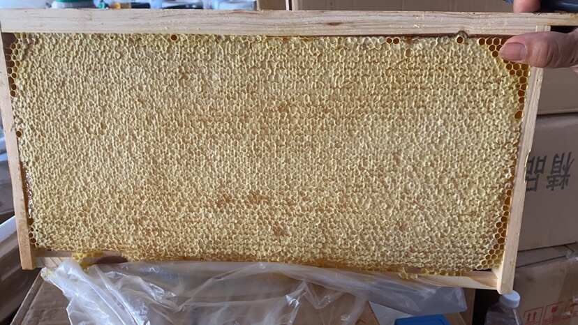 长葛市整张荆条蜂巢蜜打蜜专用蜜脾出蜜率高口感好封盖率高