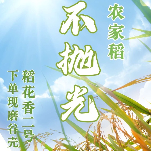 包邮~2024东北大米黑龙江五常稻花香二号大米农家米不抛光