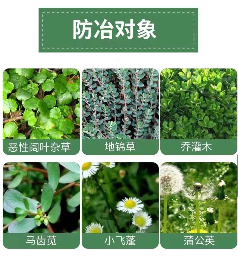 三氯吡氧乙酸恶性阔叶杂草除草剂水花生络石藤铁芒萁正品高效