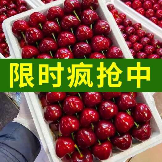 汉源县车厘子/樱桃